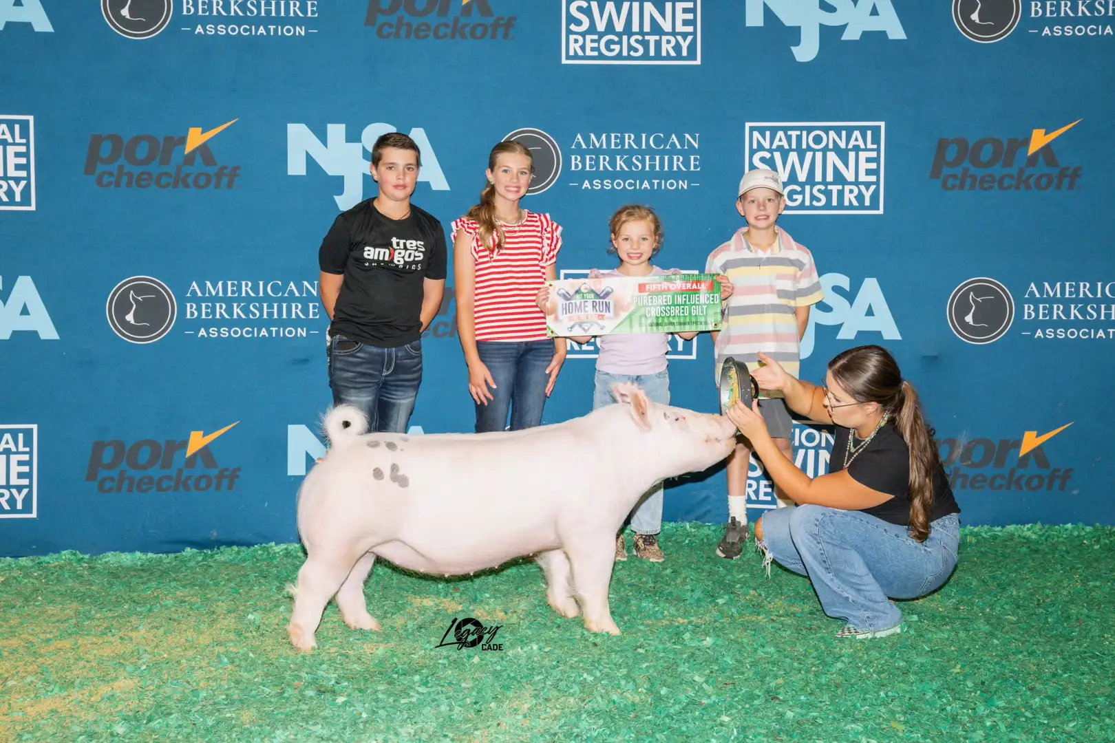 5th Overall Purebred Influence Gilt