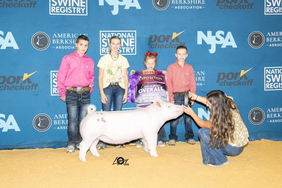Champion Overall Purebred Influence Gilt