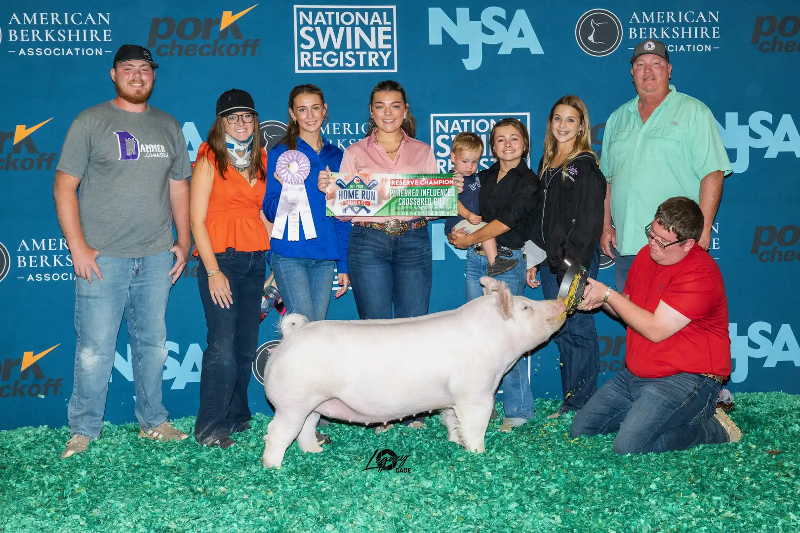 Res Champion Purebred Influence Gilt