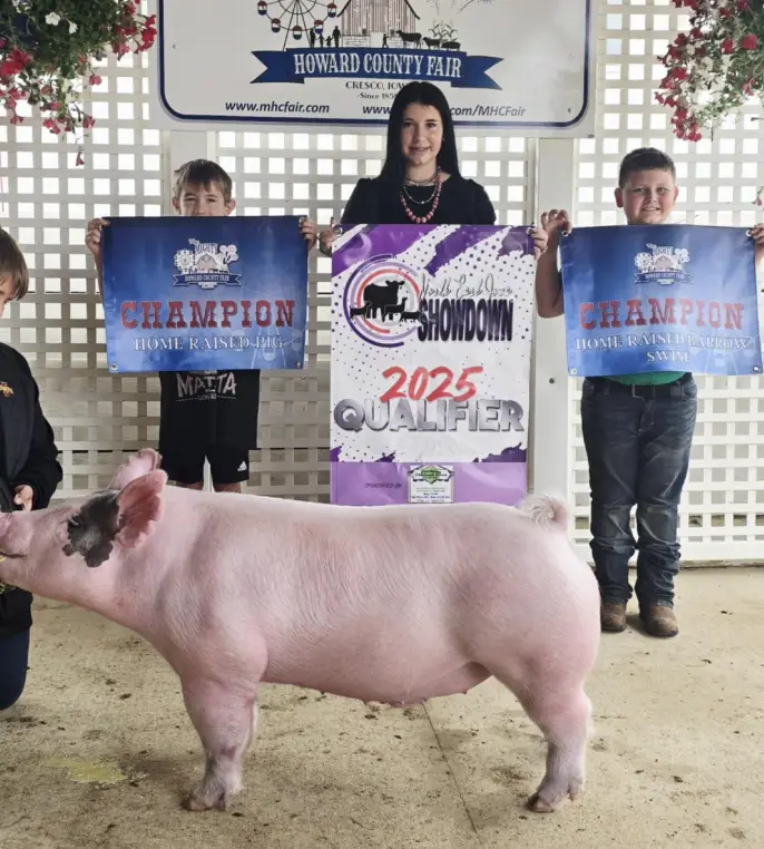 Grand Champion Barrow