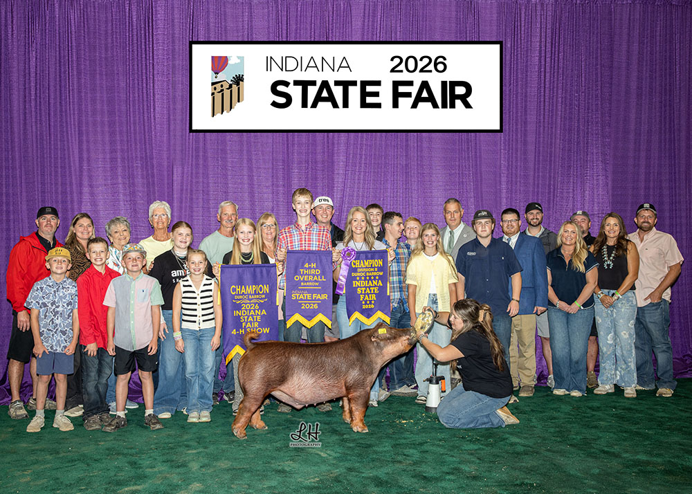 Res Grand Overall Crossbred Gilt