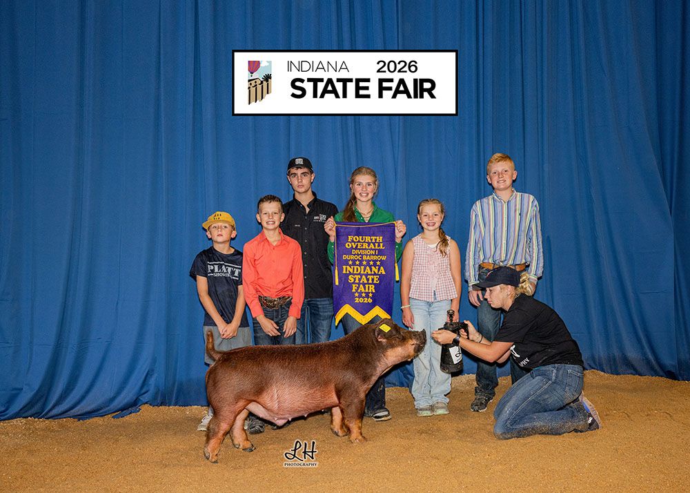 Res Grand Overall Crossbred Gilt