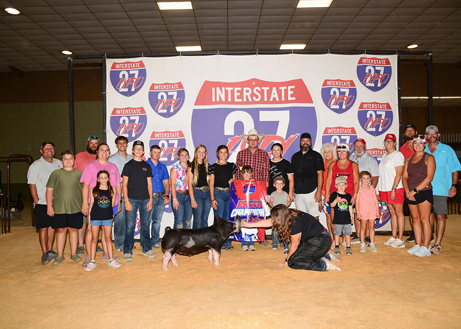 Res Grand Overall Crossbred Gilt