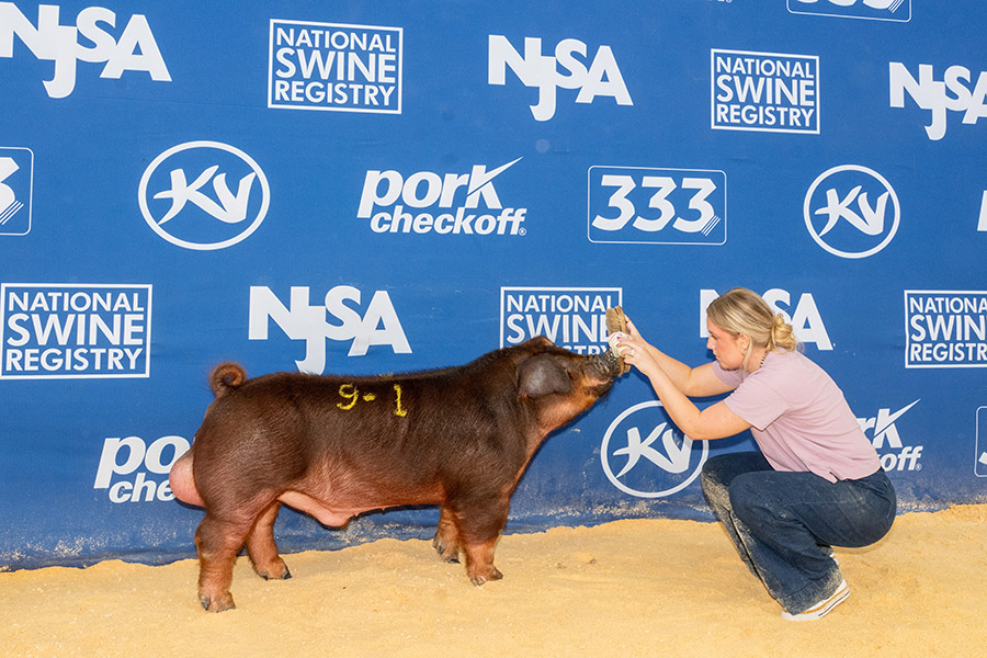 Res Grand Overall Crossbred Gilt