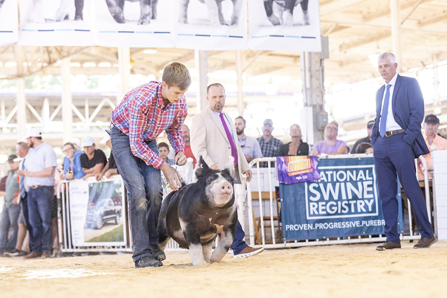 Res Grand Overall Gilt CPS